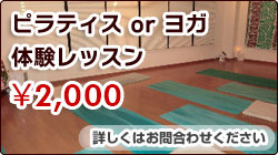 �s���e�B�X�����K �̌����b�X��2000�~